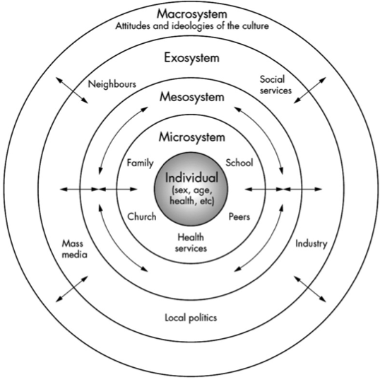 Bronfenbrenner Diagram